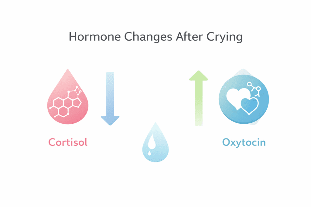 cortisol drop and oxytocin increase after crying