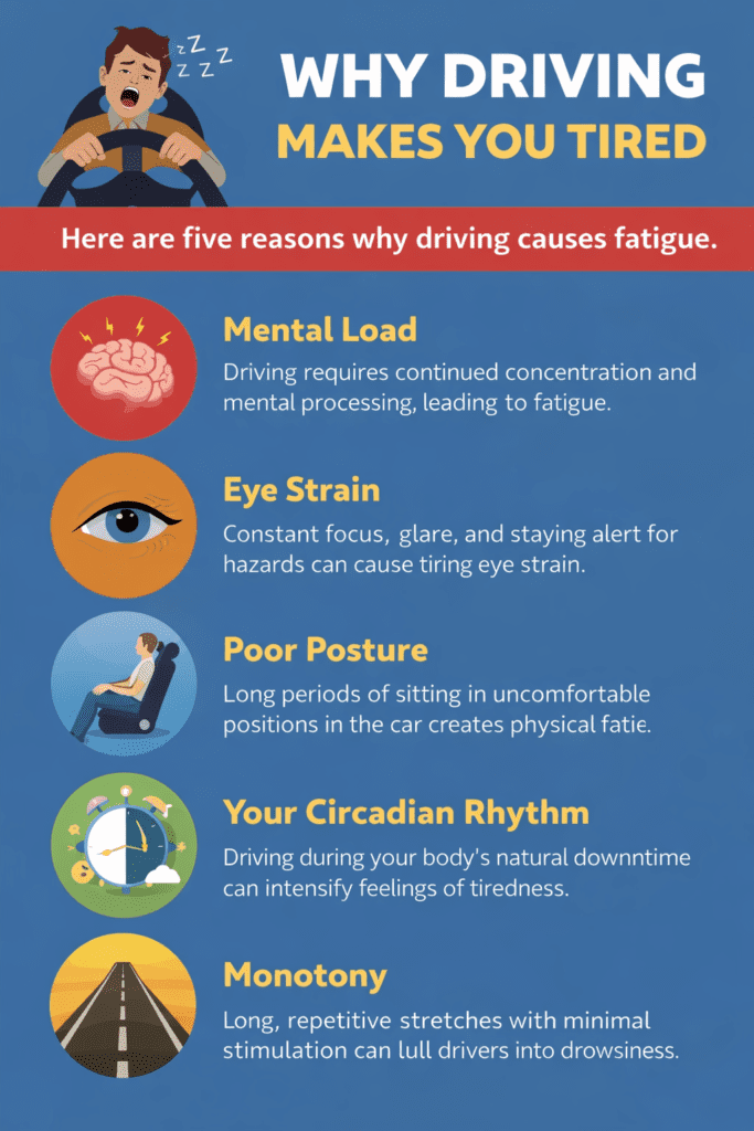 infographic showing why driving makes you tired and causes mental fatigue