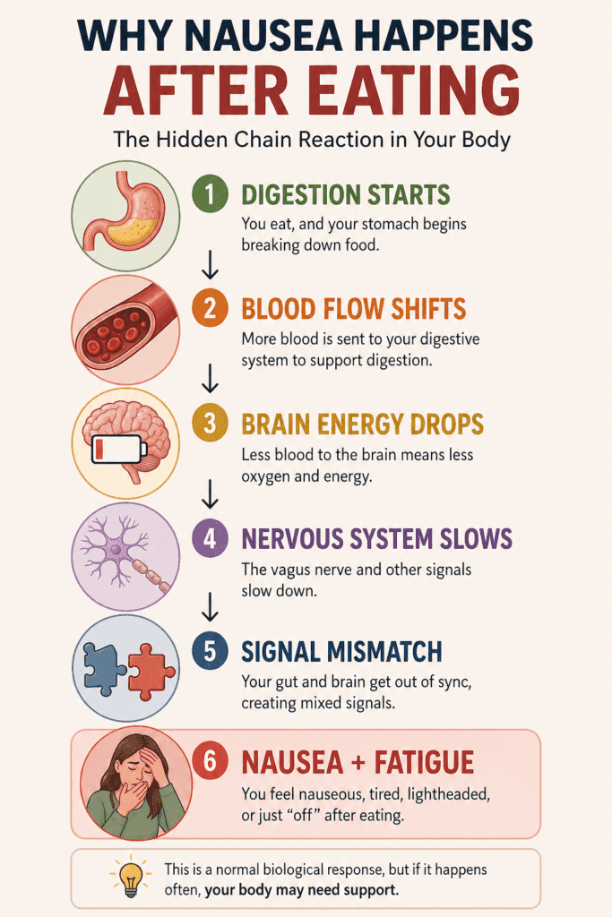 infographic explaining why nausea happens after eating step by step